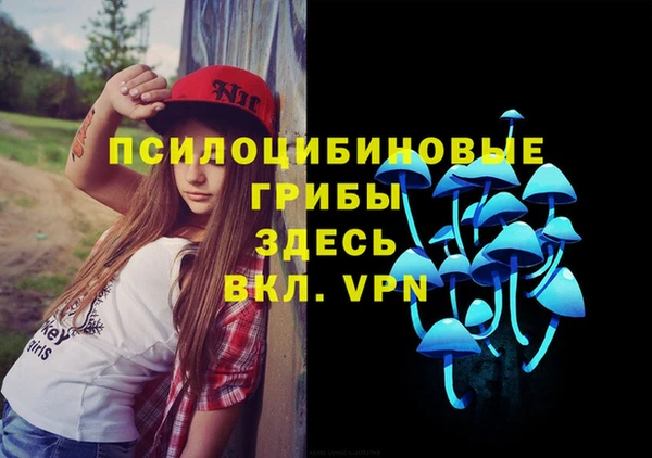 крисы Вязники