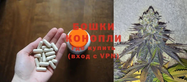 крисы Вязники
