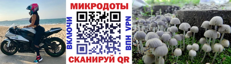 Псилоцибиновые грибы MAGIC MUSHROOMS  блэк спрут маркетплейс  Елизово  купить  